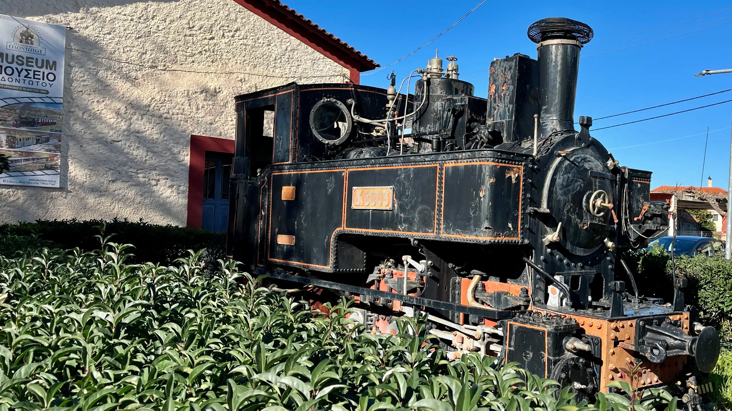 Odontotos train front view