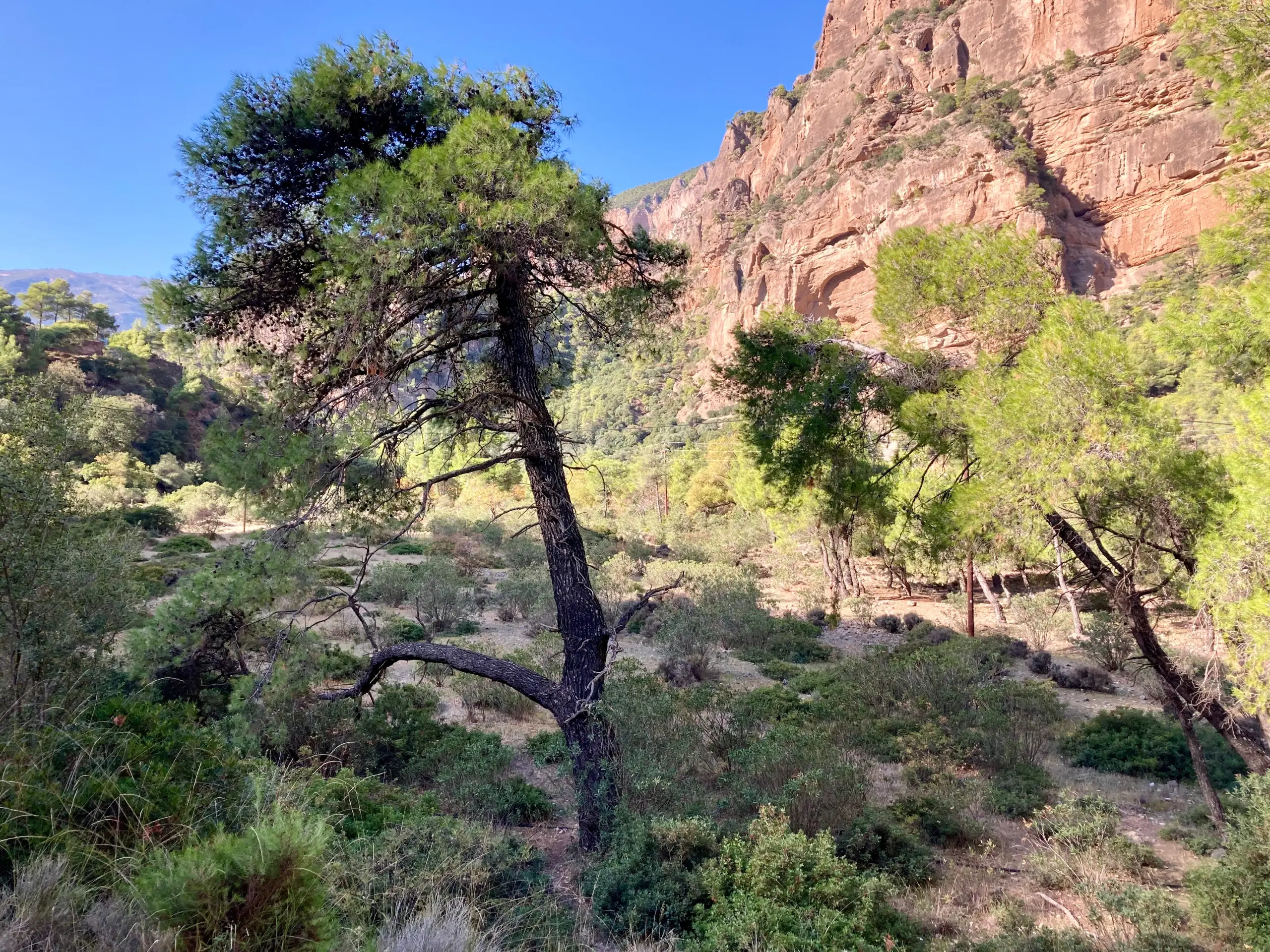 Mountain view from Odontotos