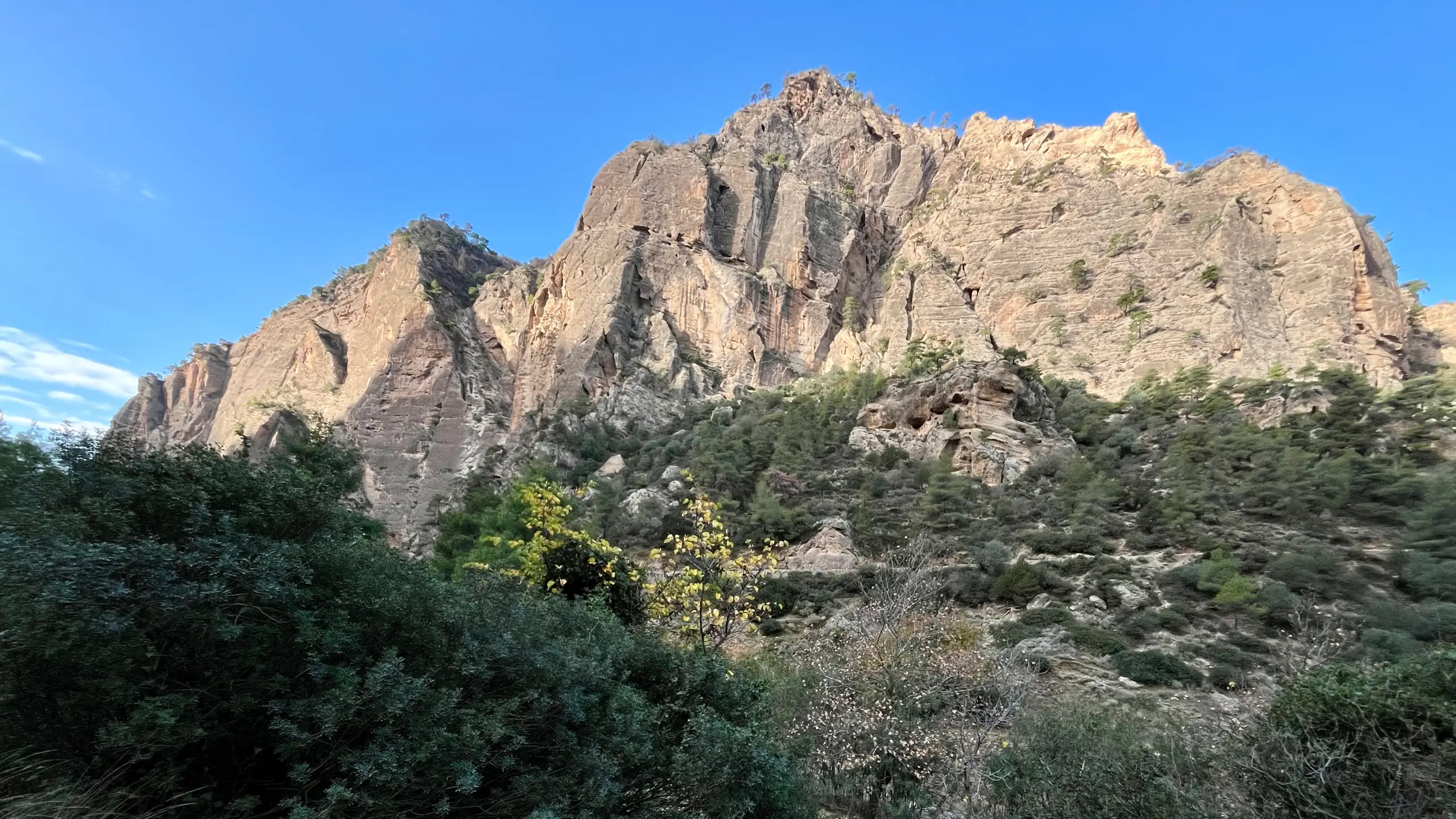 Odontotos train crossing a bridge