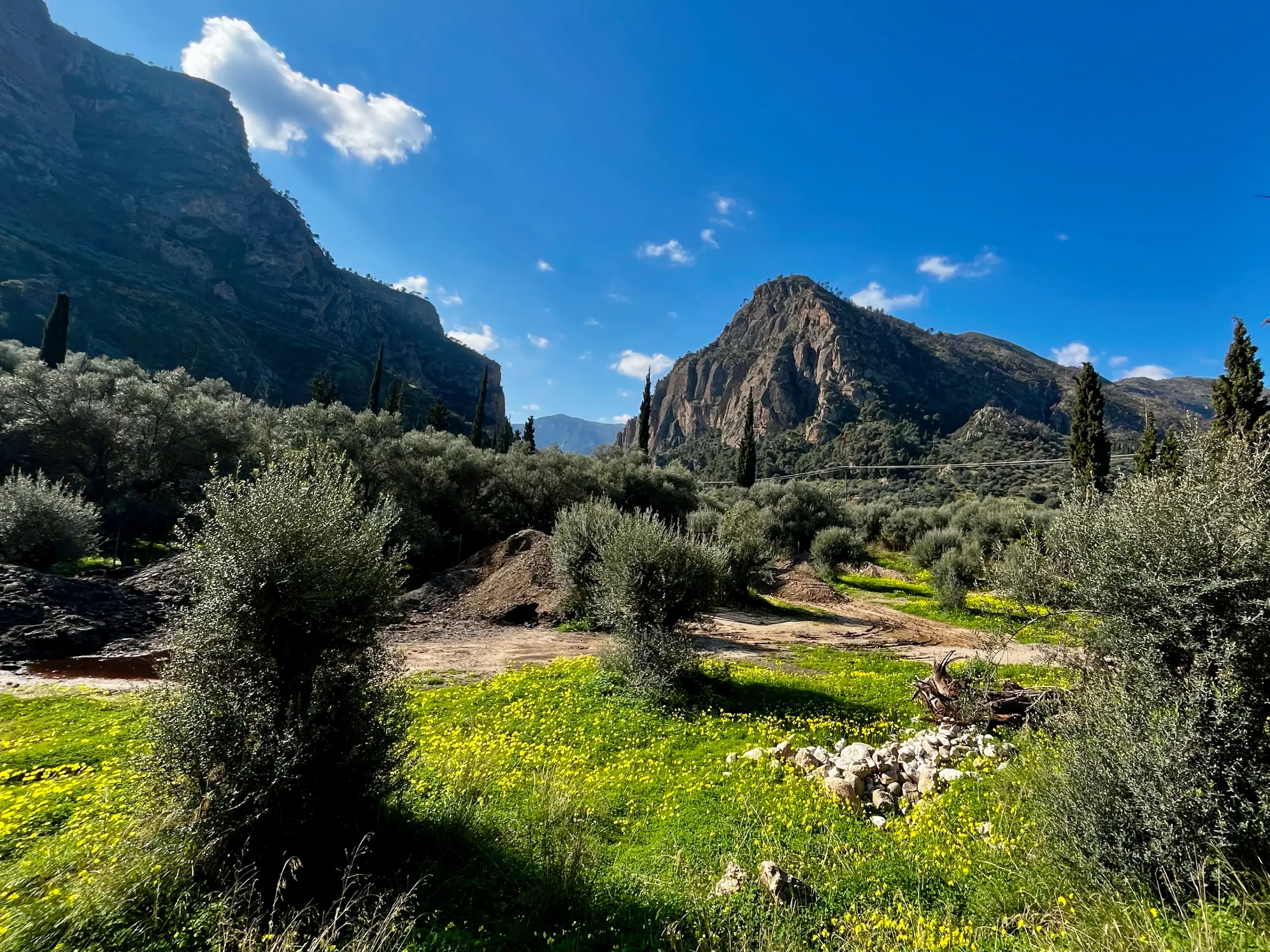 Τοπίο Βουραϊκού 1