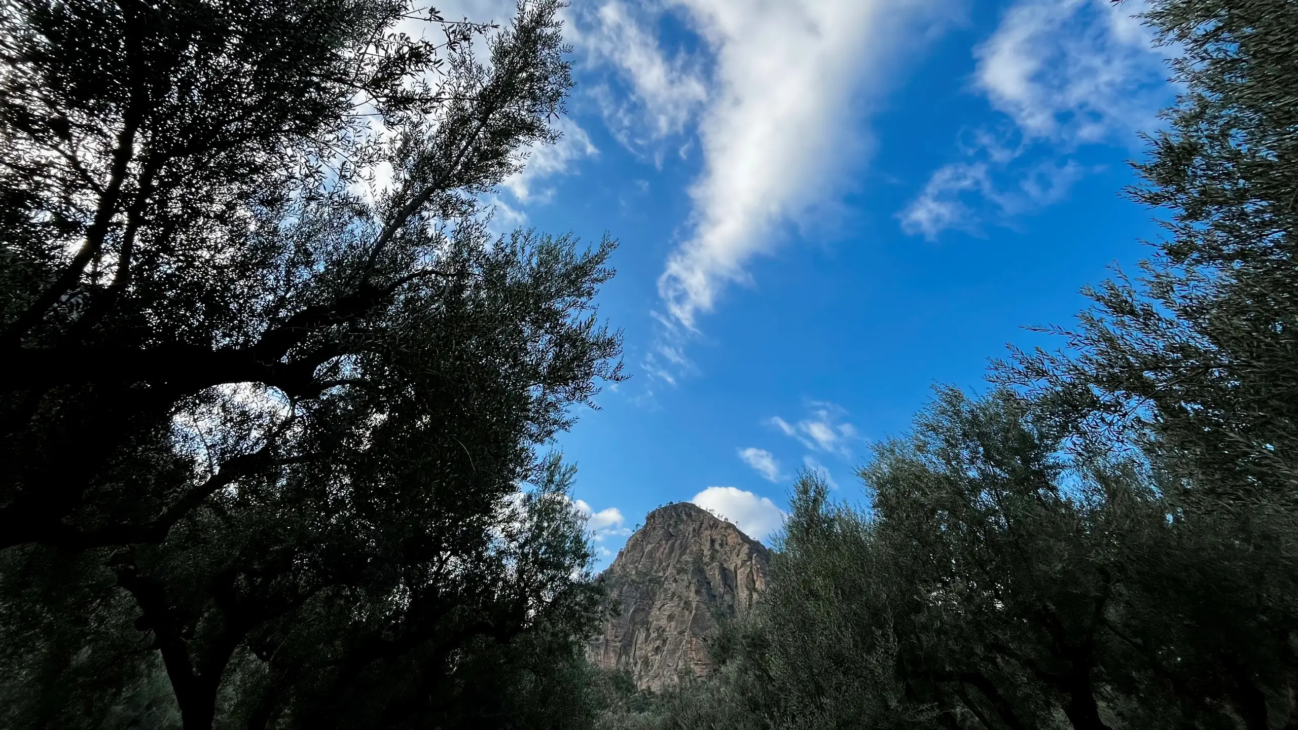 Οδοντωτός στο φυσικό τοπίο | Railway within the landscape