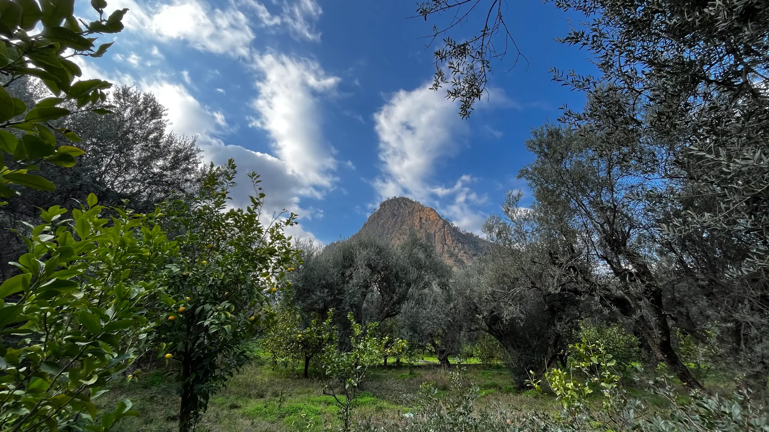 Ροή του νερού στον Βουραϊκό | River flow in Vouraikos