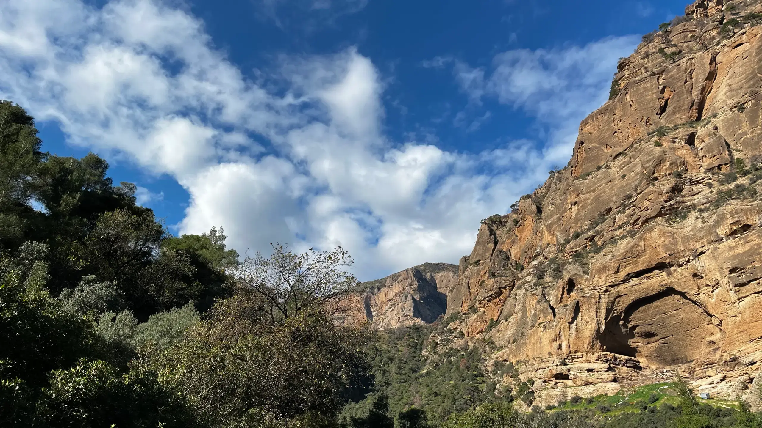 Τοπίο και βράχια του φαραγγιού | Gorge landscape and rock faces